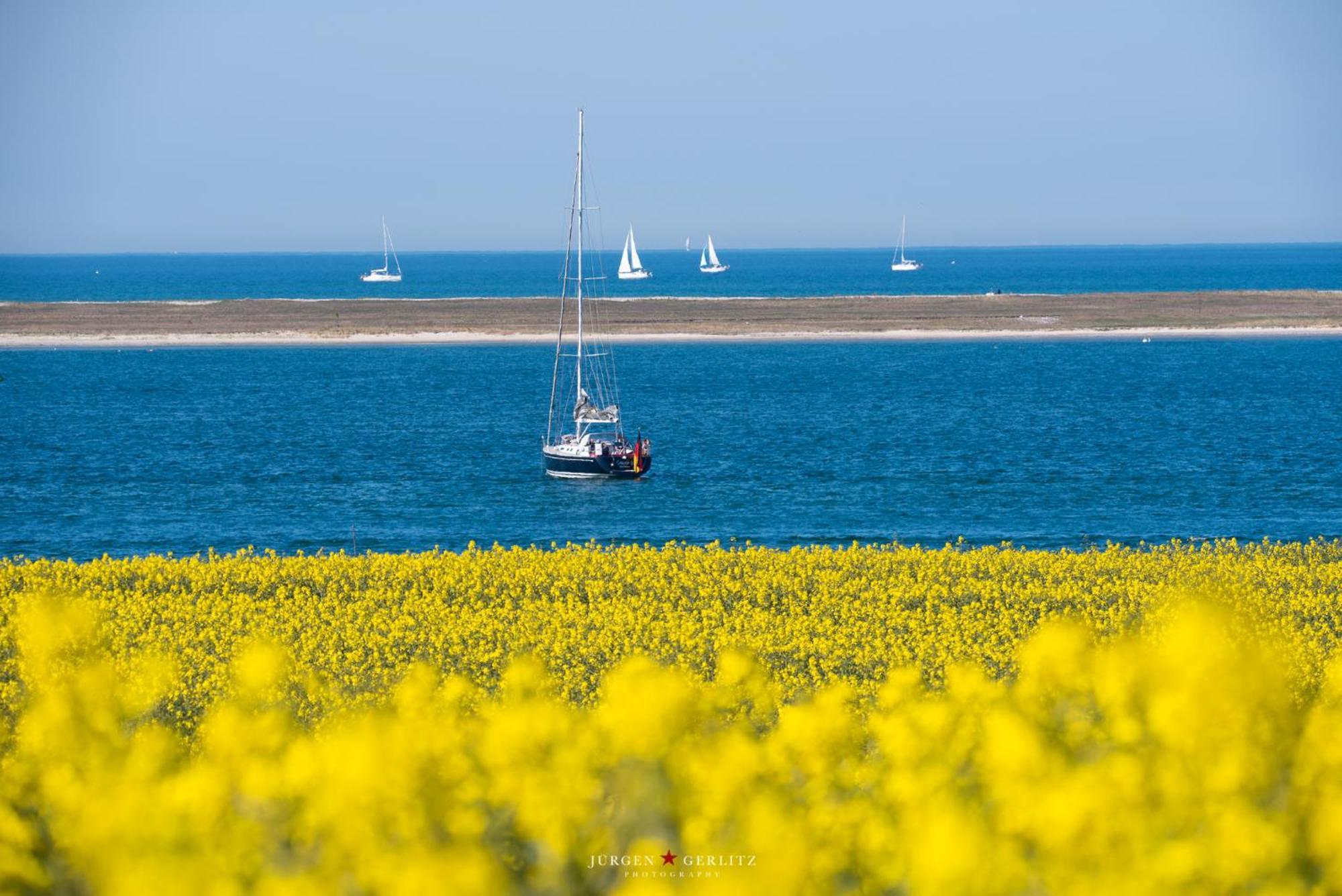 Ferienwohnung Urlaub mit Ostseeblick, Schwimmbad, Sauna&direkte Strandlage Kronsgaard Exterior foto